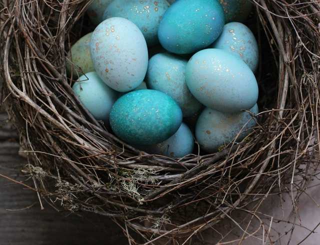 Пасха: как покрасить яйца капустой в небесный цвет своими руками (ФОТО)