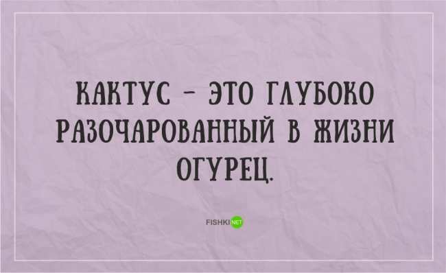 21 жизненная открытка для отличного настроения (ФОТО)