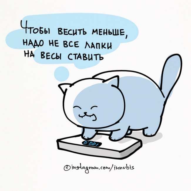 Комикаки: кошачья философия в веселых иллюстрациях (ФОТО)