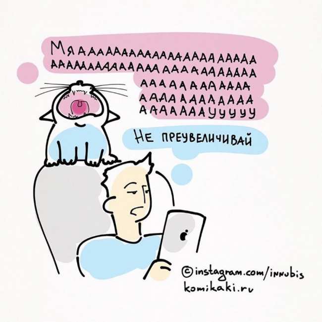 Комикаки: кошачья философия в веселых иллюстрациях (ФОТО)